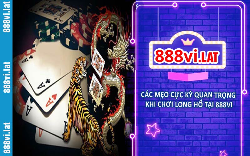 Các mẹo cực kỳ quan trọng khi chơi long hổ tại 888VI