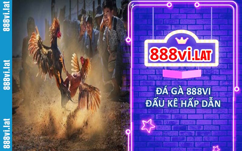Đá Gà 888VI