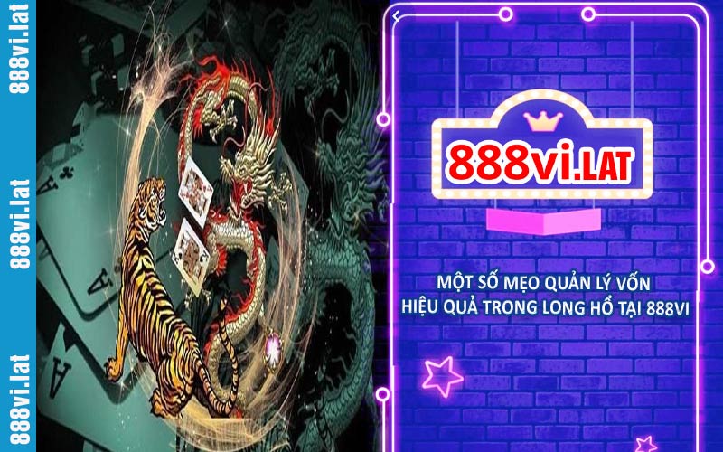 Một số mẹo quản lý vốn hiệu quả trong long hổ tại 888VI