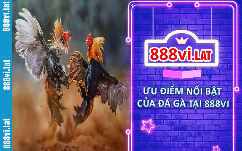 Ưu điểm nổi bật của đá gà 188VI