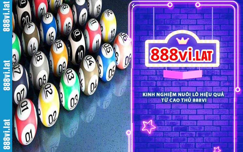 Kinh Nghiệm Nuôi Lô Hiệu Quả Từ Cao Thủ 888VI